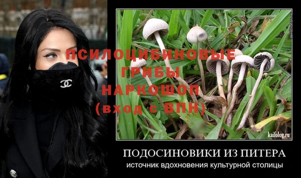 дурь Володарск