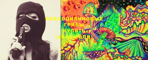 МДПВ Волоколамск